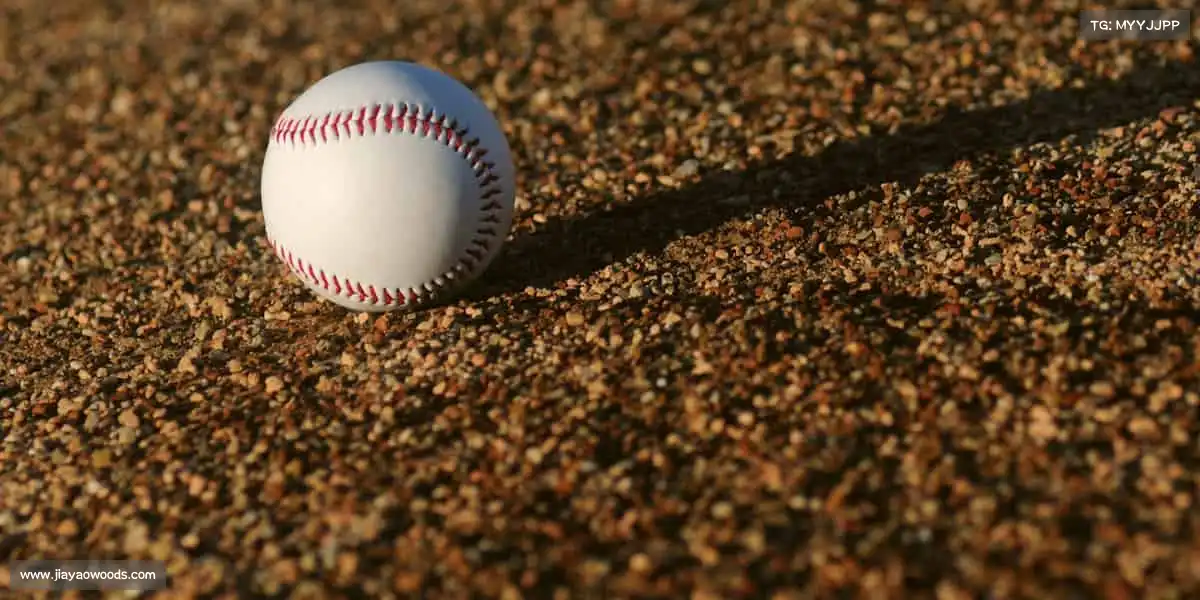 行业领先的理由